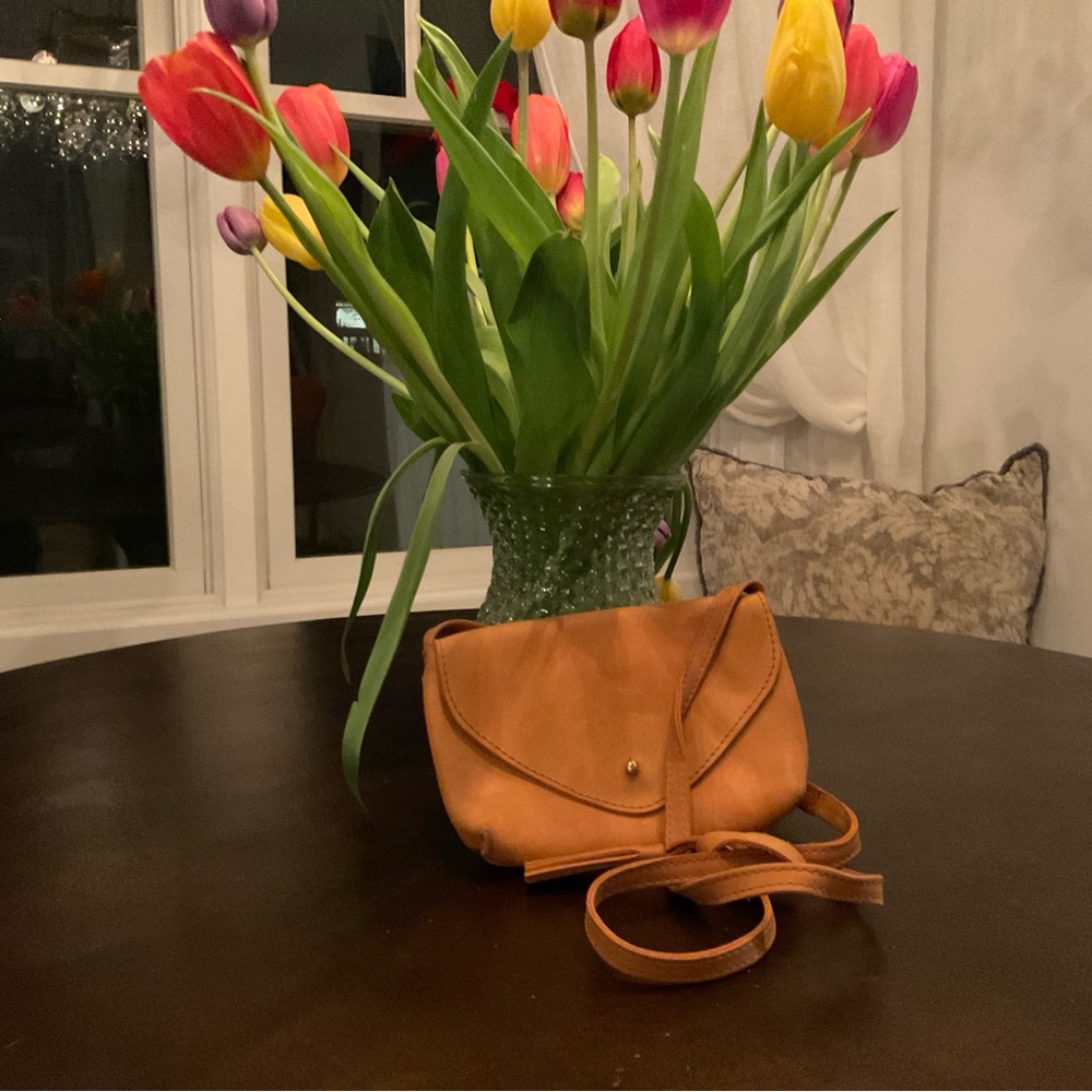 Parker Clay crossbody like new